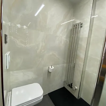 Grand Plaza Vega Centro Historico De * Burgo